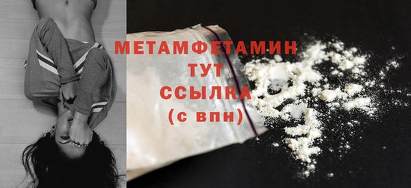 индика Протвино