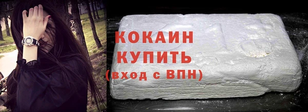 индика Протвино