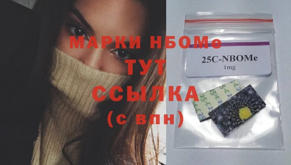 индика Протвино