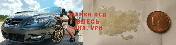 индика Протвино