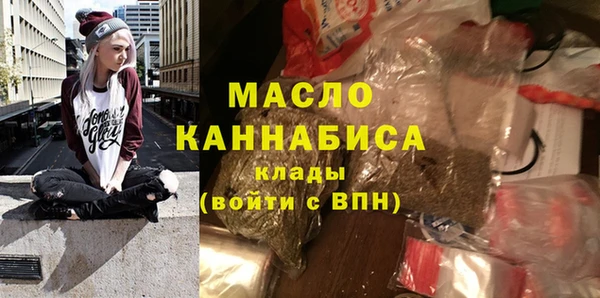 индика Протвино