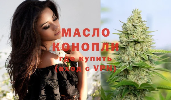 индика Протвино