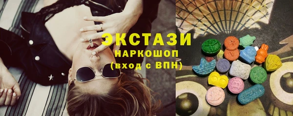 индика Протвино