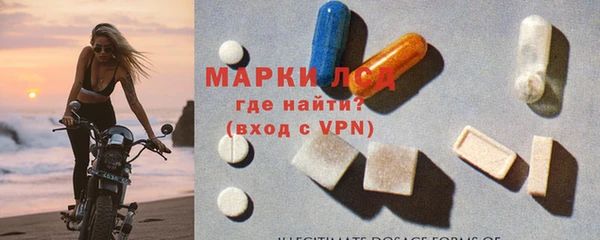 индика Протвино